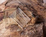 EXTRACARP BOILIE STOPS SOFT TRANSPARENTES y MARRONES 200 unid.