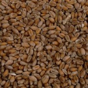 Trigo Seco Envasado 1kg