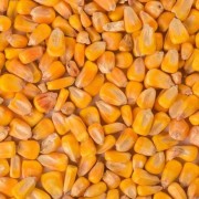 Maiz Seco envasado 1 kg