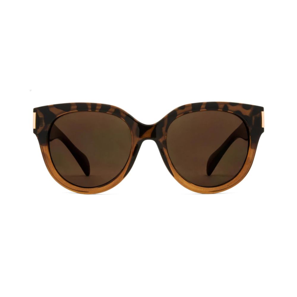 Lentes de sol Carve Vivian Gloss Toffee Frame - Imagen 3