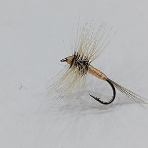 Mosca Allerana Carne 3277 n16