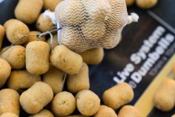 CCMOORE LIVE SYSTEM DUMBELLS SHELF LIFE 15X18 mm 1 kg