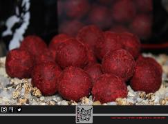 TRYBION BOILIE CYPRINUS MAX 20 mm 800 gr