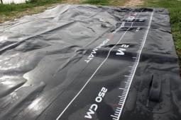 TRYBION MOQUETA SILURO GRANDES DIMENSIONES