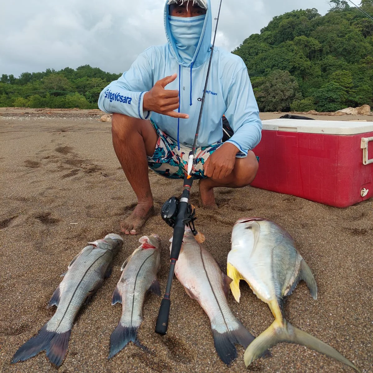 Carrete KastKing Megatron II 200 Baitcasting - Saltwater Ready - Imagen 6