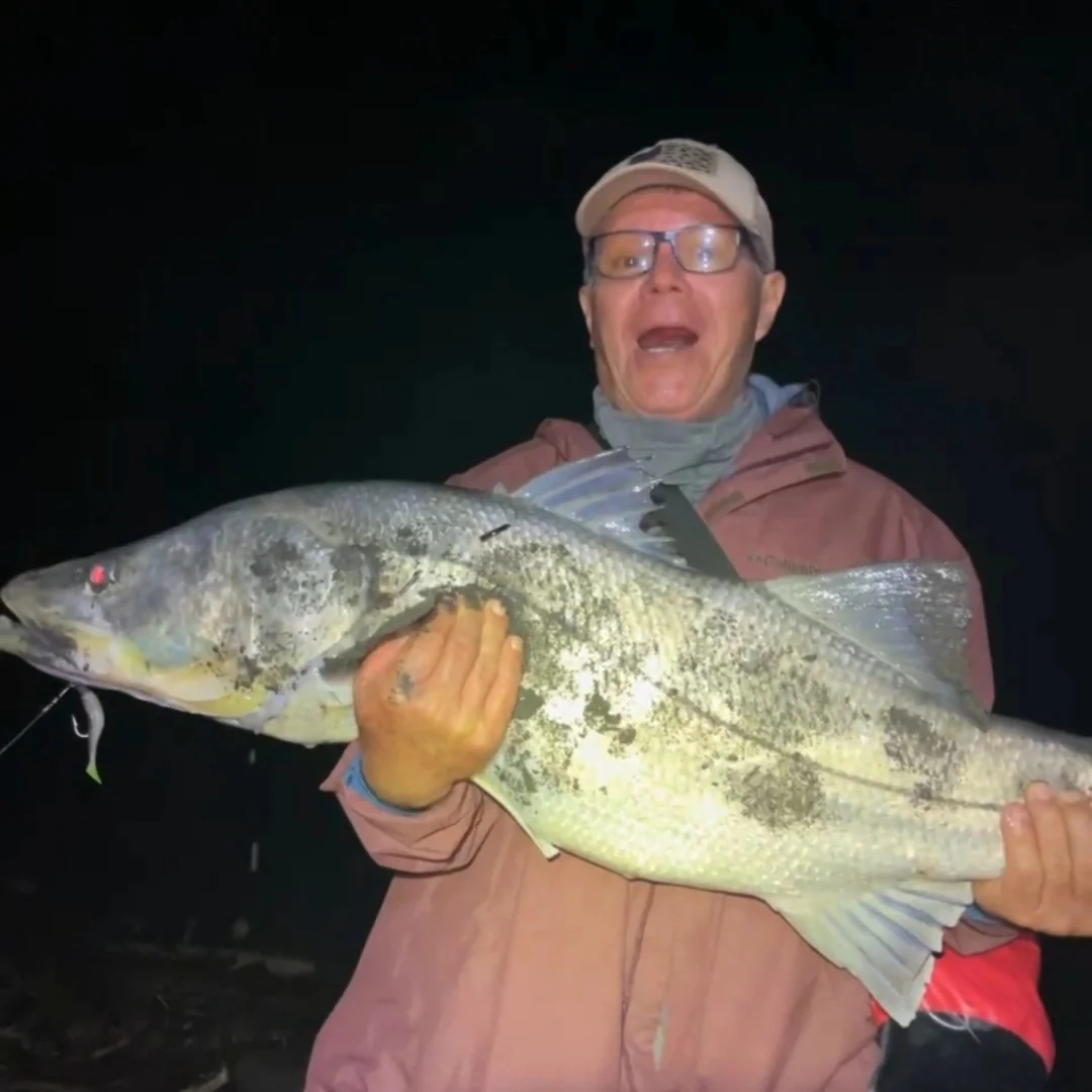 Carrete KastKing Megatron II 200 Baitcasting - Saltwater Ready - Imagen 4