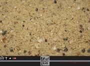 TRYBION STICK MIX ADAMANTIUM 800 gr