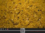 TRYBION STICK MIX STRACTO 800 gr