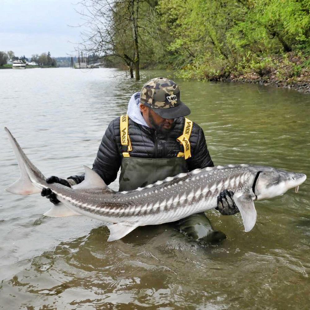 VASS E NOVA 700 Series Chest Wader (tallas del 41 al 45) - Imagen 3