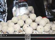 TRYBION BOILIE ADAMANTIUM 20 mm 800 gr