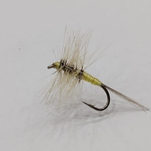 Mosca Allerana Limón 3281 n16