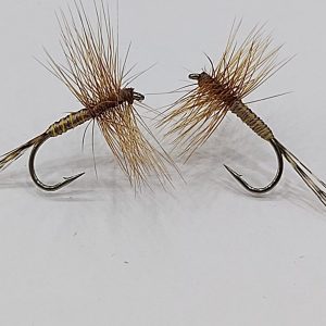 Mosca Allerana Pardon 3324 n14