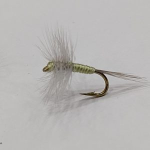 Mosca Allerana Verdina 400 Guterman n16