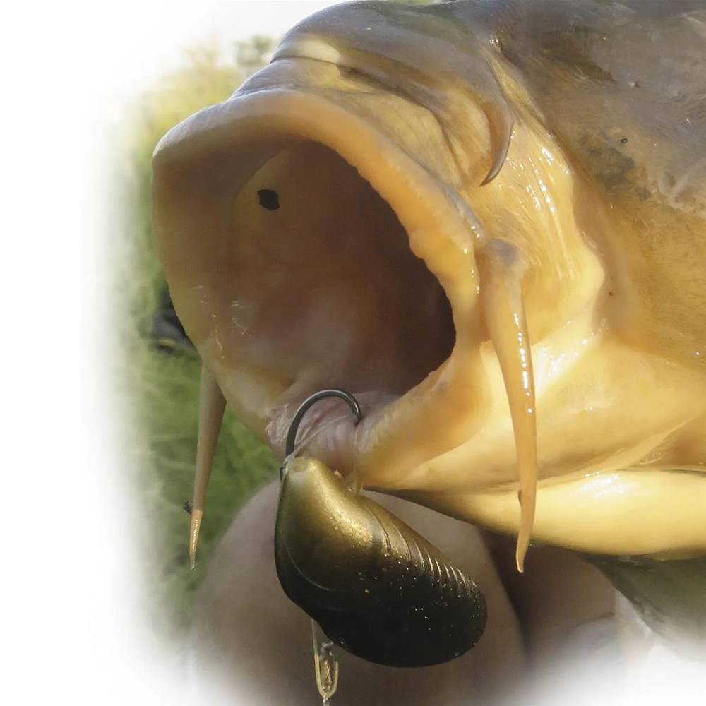 BEHR Almejas Artificiales Flotantes 3 unid. tipo 2 - Imagen 3