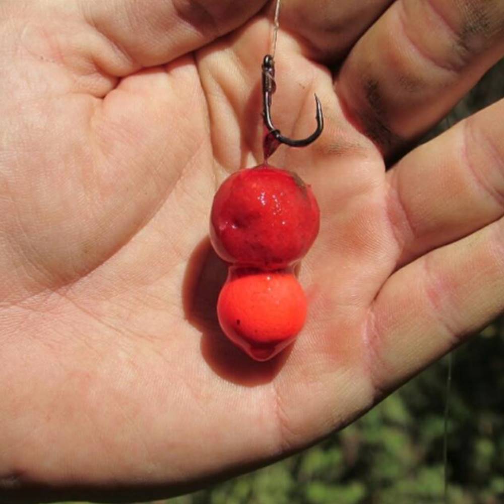 CARP BAIT Boilie Cangrejo de rio 20 mm 4 kg - Imagen 3