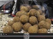 TRYBION BOILIE STRACTO 20 mm 800 gr