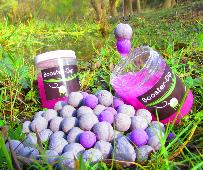 CARP BAIT Booster-DIP Blackberry 200 ml