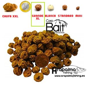 Chufa Grande XL (12-15 mm) 1 kg