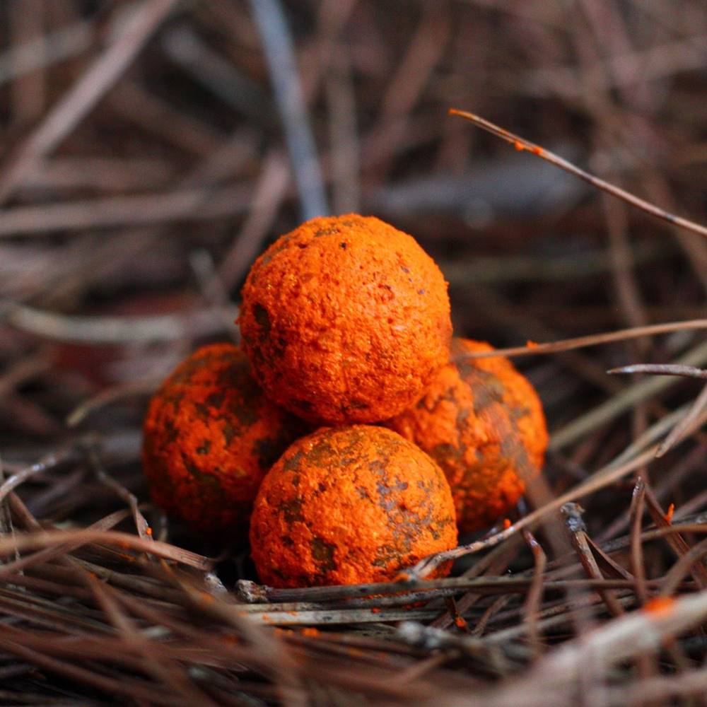 DSA BAITS BUTYRIC CITRUS HOOK BAITS 18 MM - Imagen 3