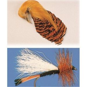 Cuello Faisan dorado