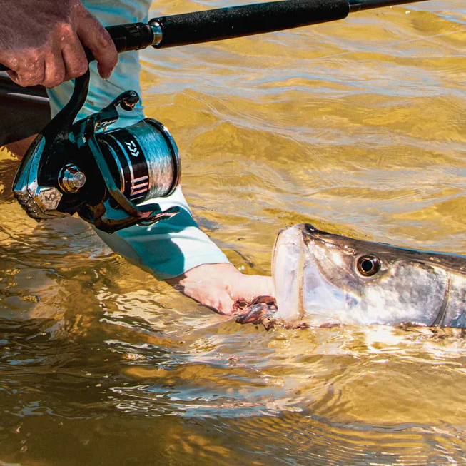 Carrete Daiwa BG MQ en Spinning - 26LB Drag, Más Moderno - Imagen 3