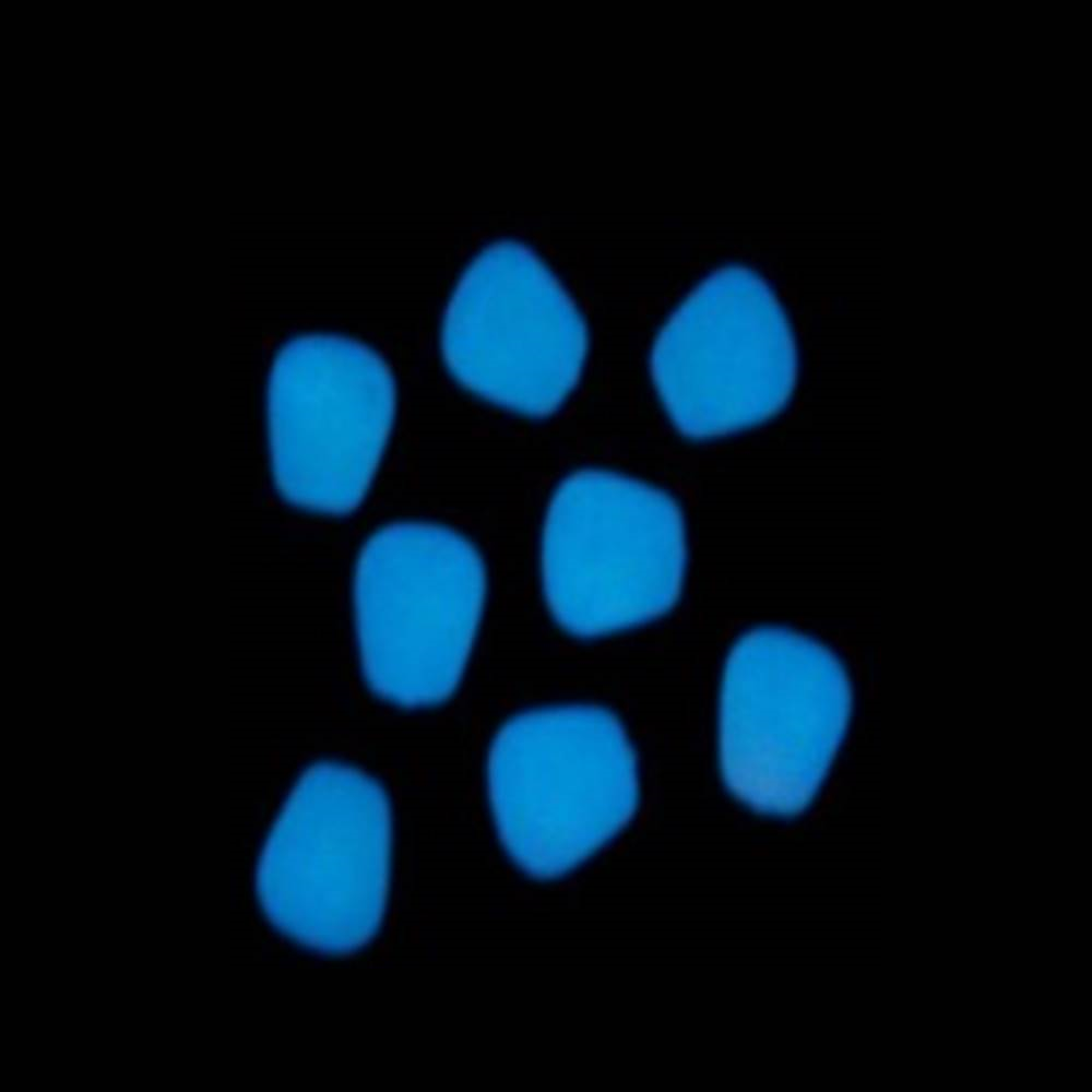 Enterprise Tackle Niteglow Corn Neon Blue Maiz Flotante luminoso - Imagen 3