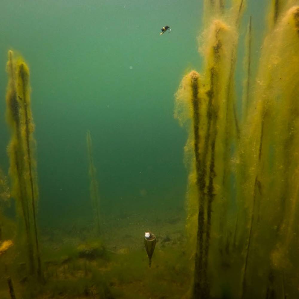 FOX EDGES ZIG FLOAT KIT Flotador para pescar suspendido o en superficie - Imagen 5