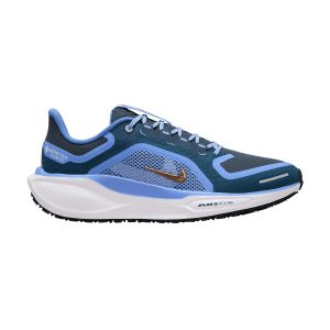 Nike Air Zoom Pegasus 41 Gtx Mujer