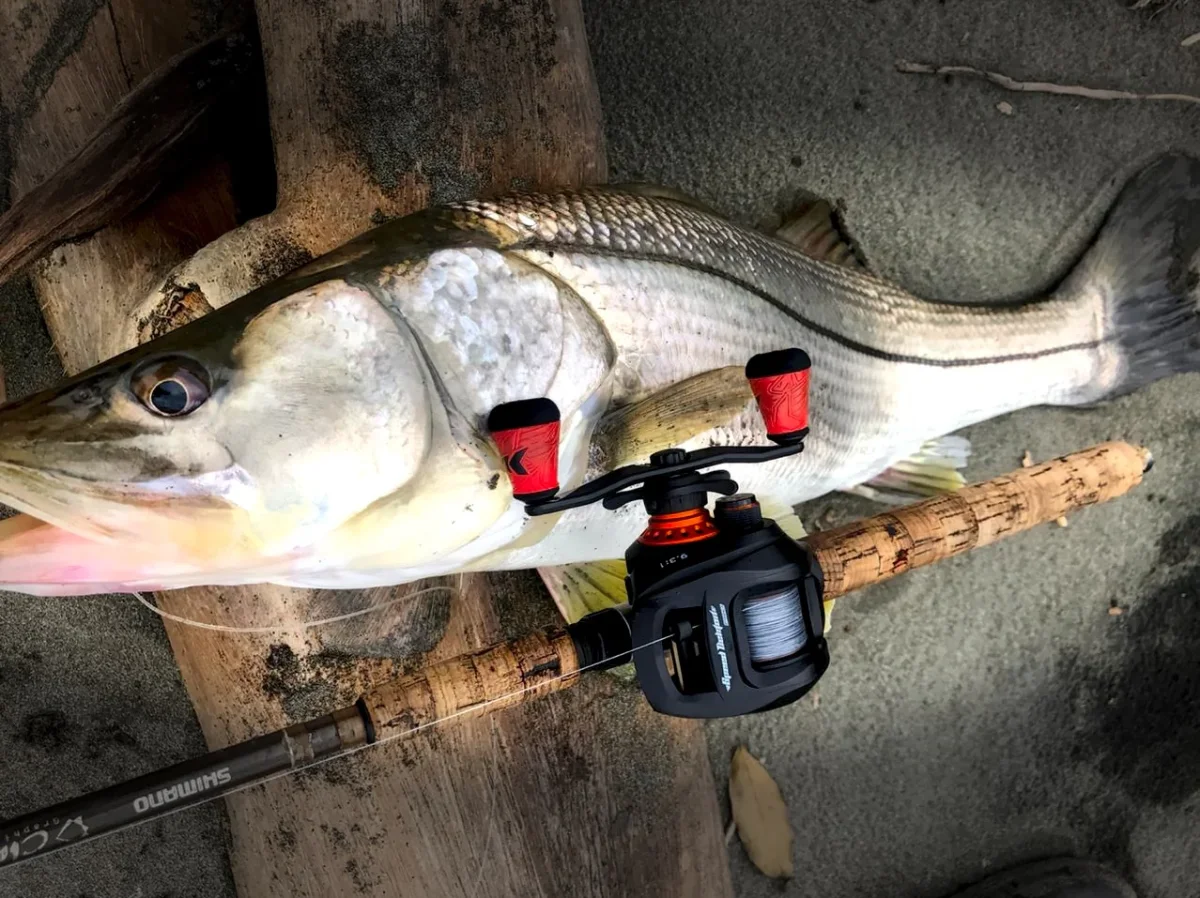 Carrete KastKing Speed Demon Pro - Saltwater Casting Reel - Imagen 9