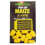 Maices Korda Amarillos I.B. Yellow Maize