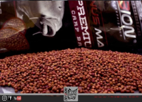 TRYBION MICRO PELLETS CYPRINUS MAX 7 mm