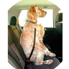 SUJECIÓN DE SEGURIDAD - Imagen 3